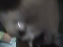 Asian Blowjob Cumshot Thai 